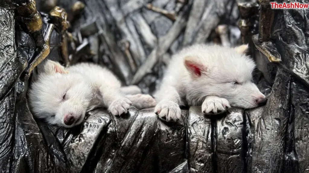 डायर वुल्फ (Dire Wolf): जिसे वैज्ञानिकों द्वारा फिर से जन्म दिया गया है