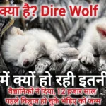 डायर वुल्फ (Dire Wolf): जिसे वैज्ञानिकों द्वारा फिर से जन्म दिया गया है